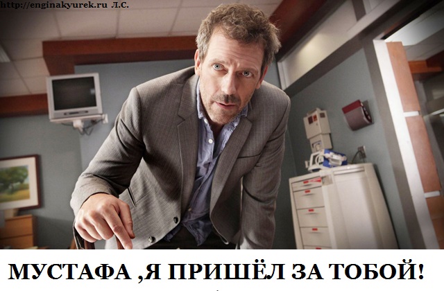 648463-house_md_massage_therapy_2_1280x800.jpeg
