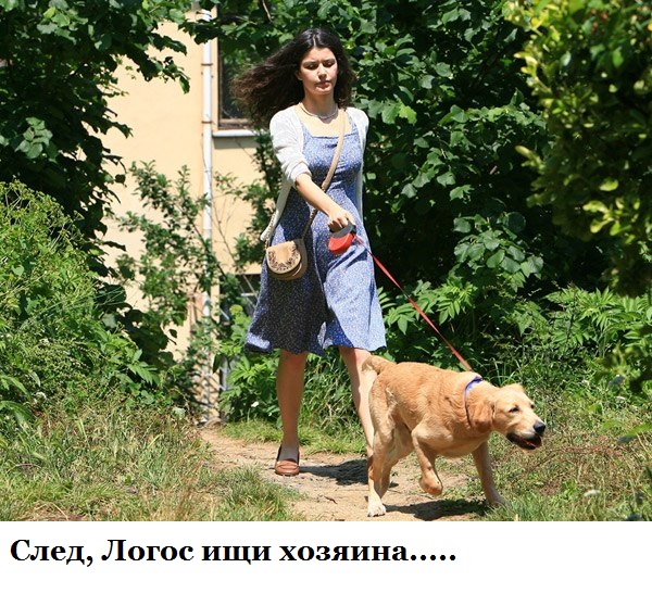 2R4onTA2Zo8.jpg