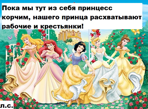 c52e22a9d6f7.jpg