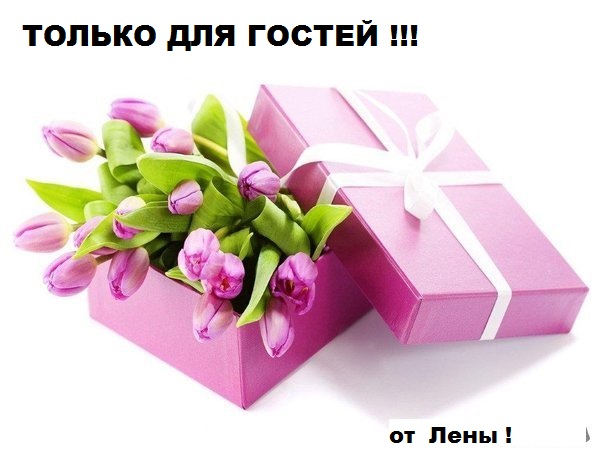 blumen_fuer_dich_15.jpg