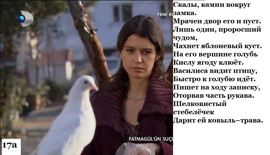 HLI97FZYVn.jpg