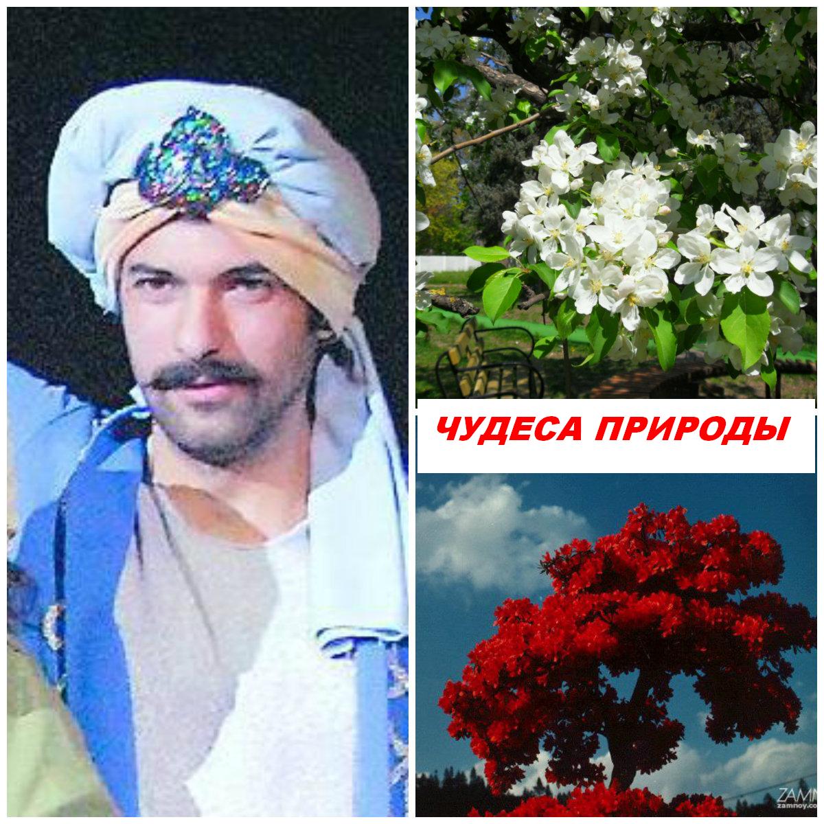 Чудеса природы с надписью.JPG