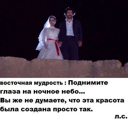 x_68f0d8f4.jpg
