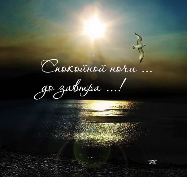 e3fbcf73d4faf521df8d9caa3ef61d1e.jpg
