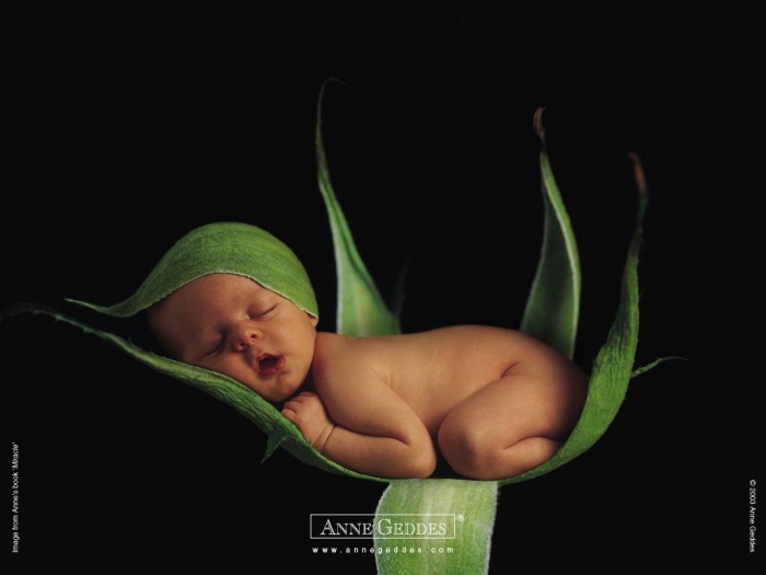 anne-geddes_196367_m.jpg