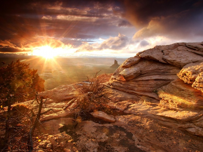 nature_726-crop.jpg