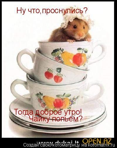 1372fb222534f5cc68bebe8a6ca28494_p.jpg