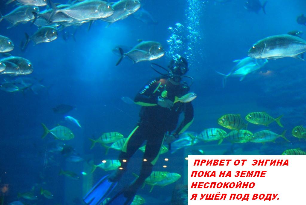 Энгин в воде снп.JPG