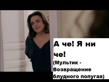 2o0y4r.jpg