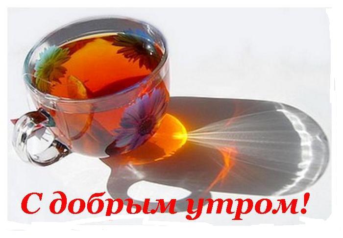 12105769590douti.jpg