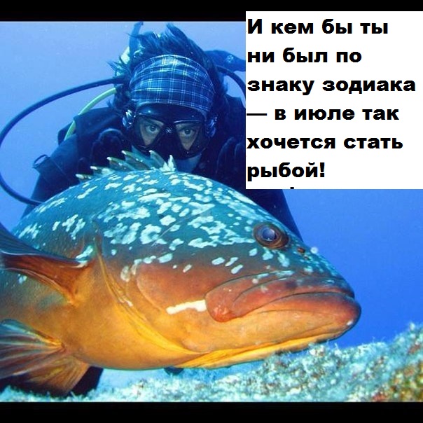 ylZUhfdwPSY.jpg