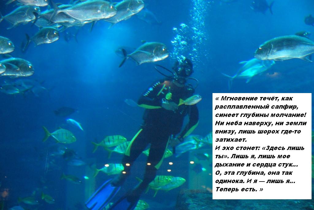 Энгин в воде 2 с надписью.JPG
