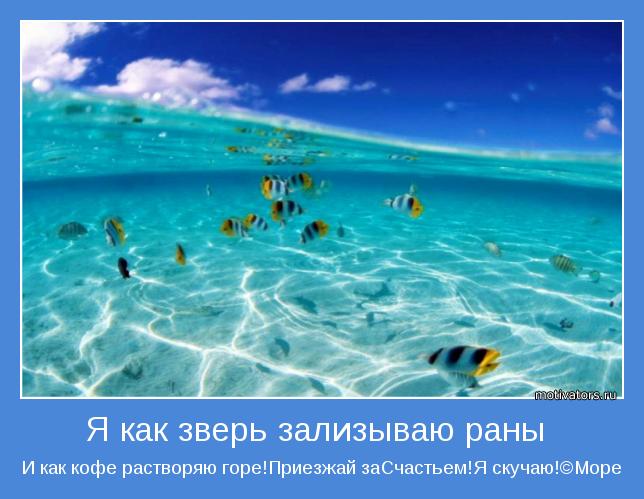 Море с надп.jpg
