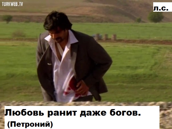 HB5_aydqmIc.jpg