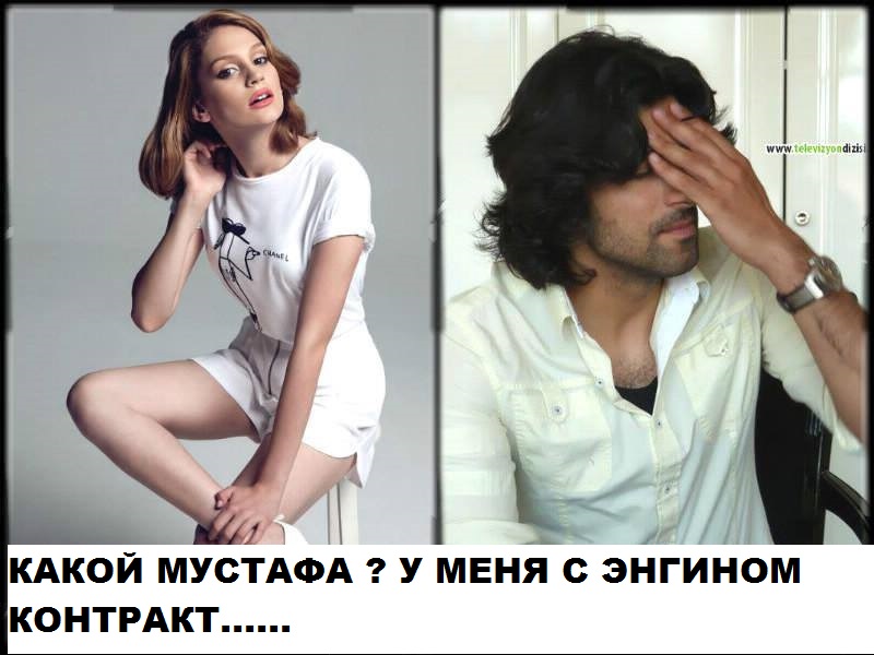 ипп.jpg