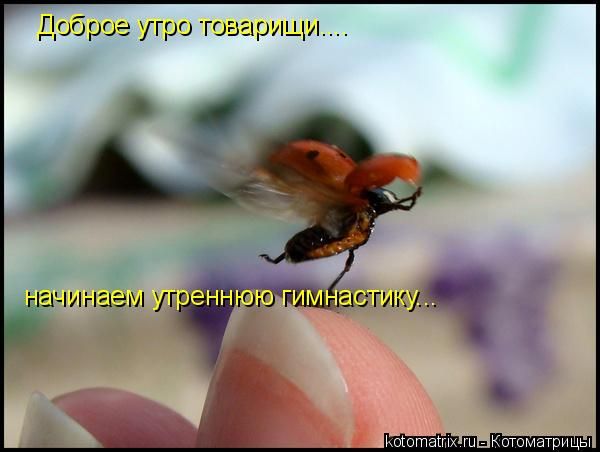 d34cf8ddb338.jpg