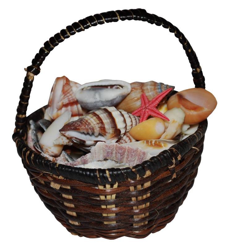 Корзина с ракушками 2.jpg
