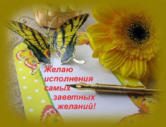 img_Semmi_545_0.jpg