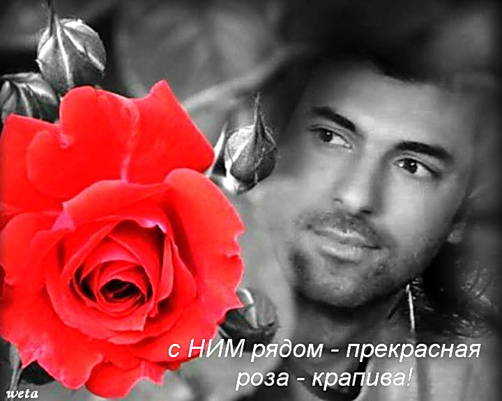 Энгин роза.jpg