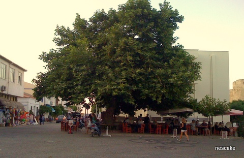 кафе3.jpg