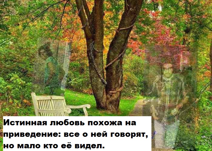 приведения.jpg