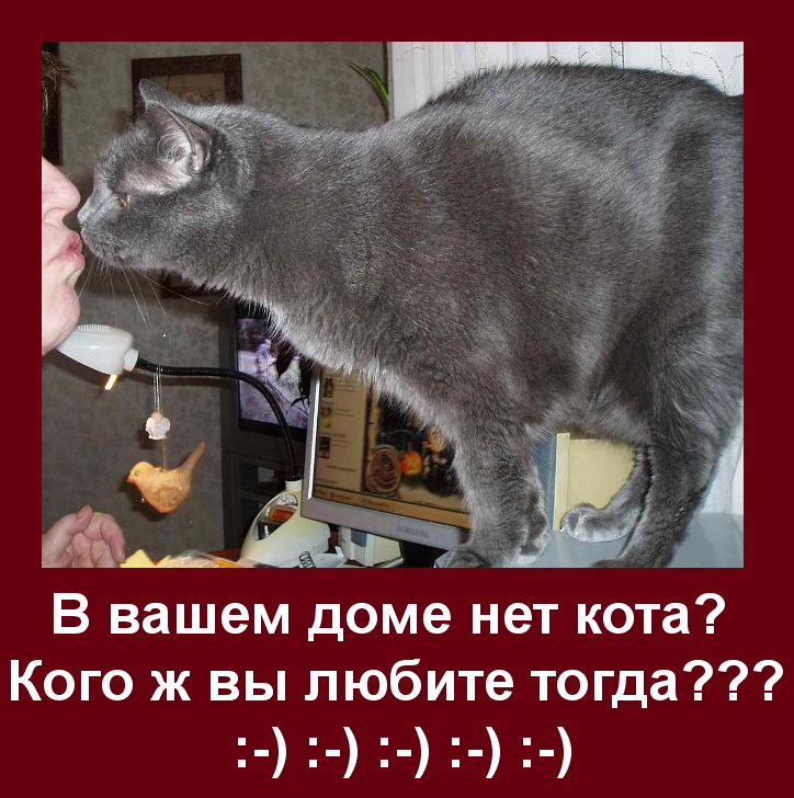Поцелуйчик.jpg