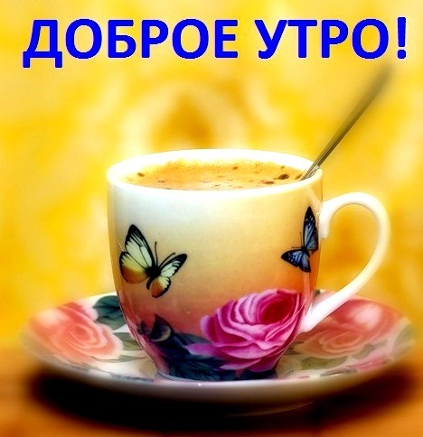 84480128da43.jpg