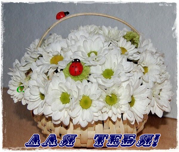edf7a482e2eba8ddf66ba29d9b8f976b.jpg