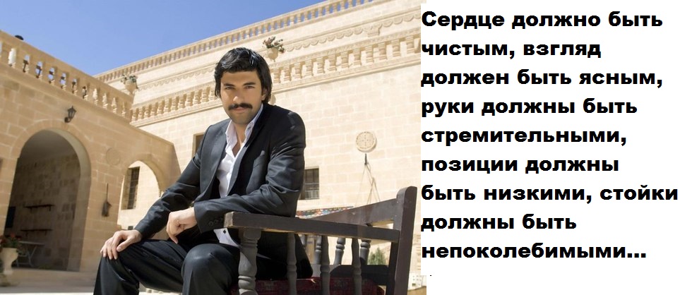 cT3-eNUkarM.jpg