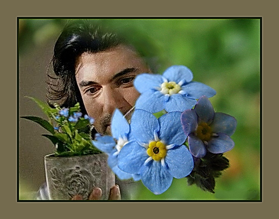 Незабудки.jpg