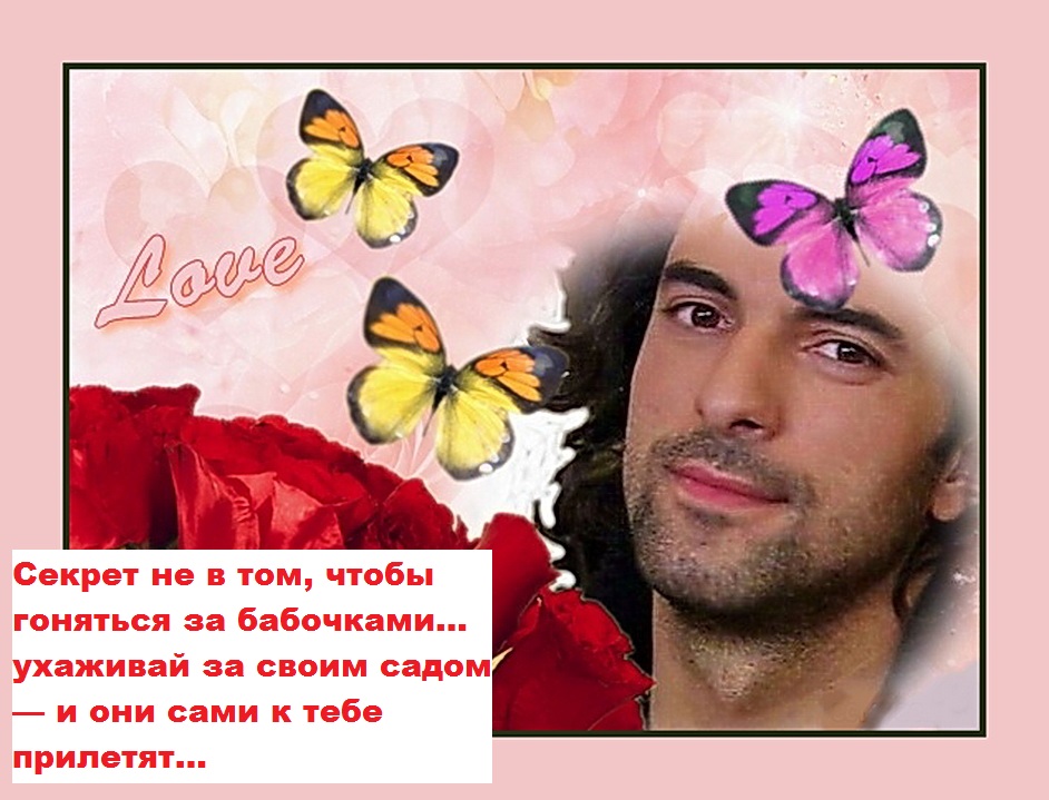 Бабочки и розы.jpg
