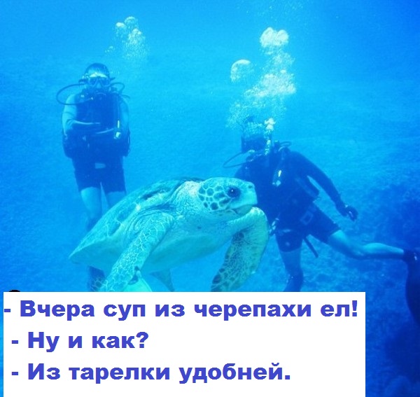ucfpp.jpg