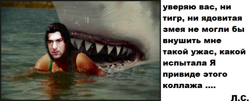 Акула.jpg