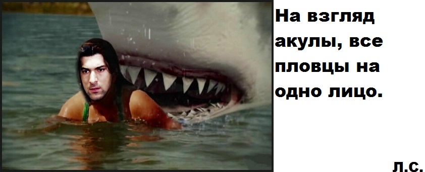 Акула.jpg