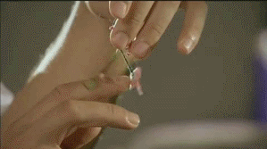 1.gif